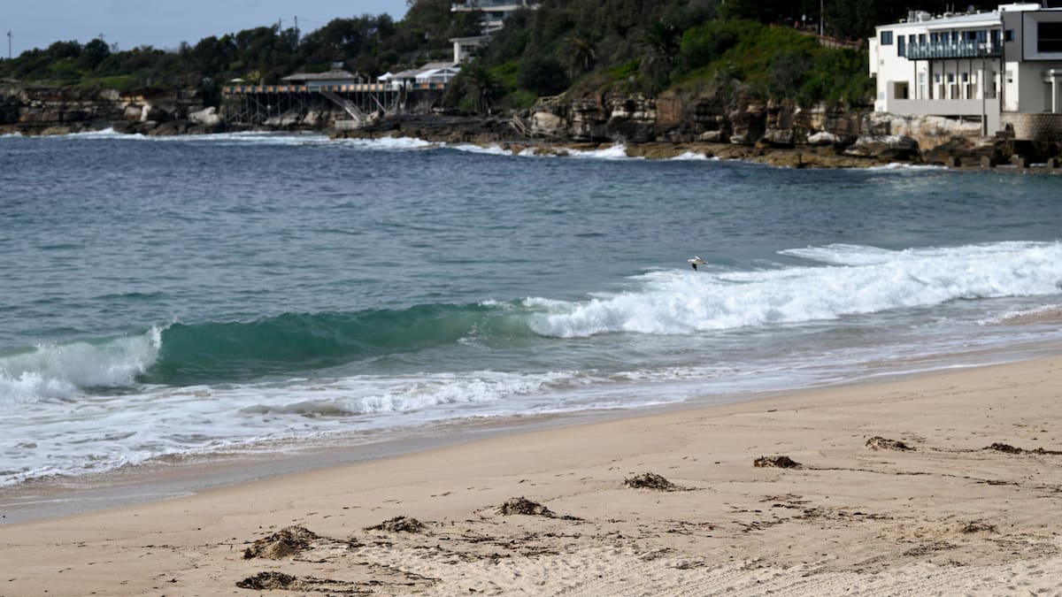 Playas cerradas en Sidney. Fuente: EFE