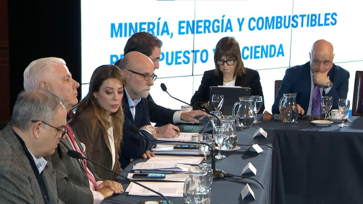 Senado: el oficialismo y la oposición dialoguista dieron dictamen a la nueva Ley de Biocombustibles