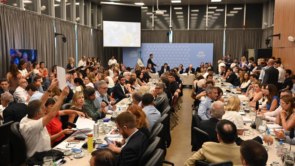 Diputados tratará la Reforma Laboral este jueves 19 de febrero en un contexto marcado por el paro general a nivel nacional