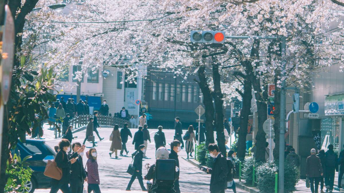 Población en Japón. Foto: Unsplash.