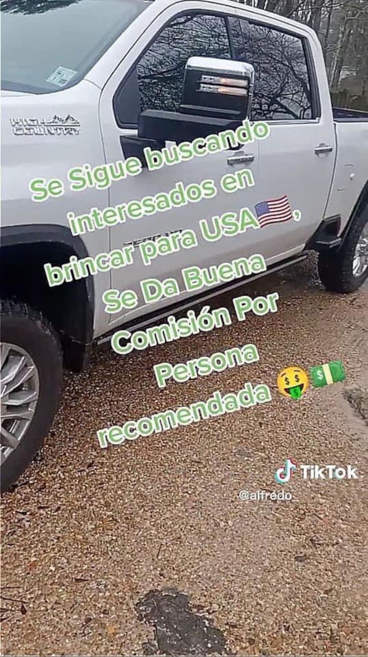 Polleros en TikTok. Foto Twitter @k911noticias.