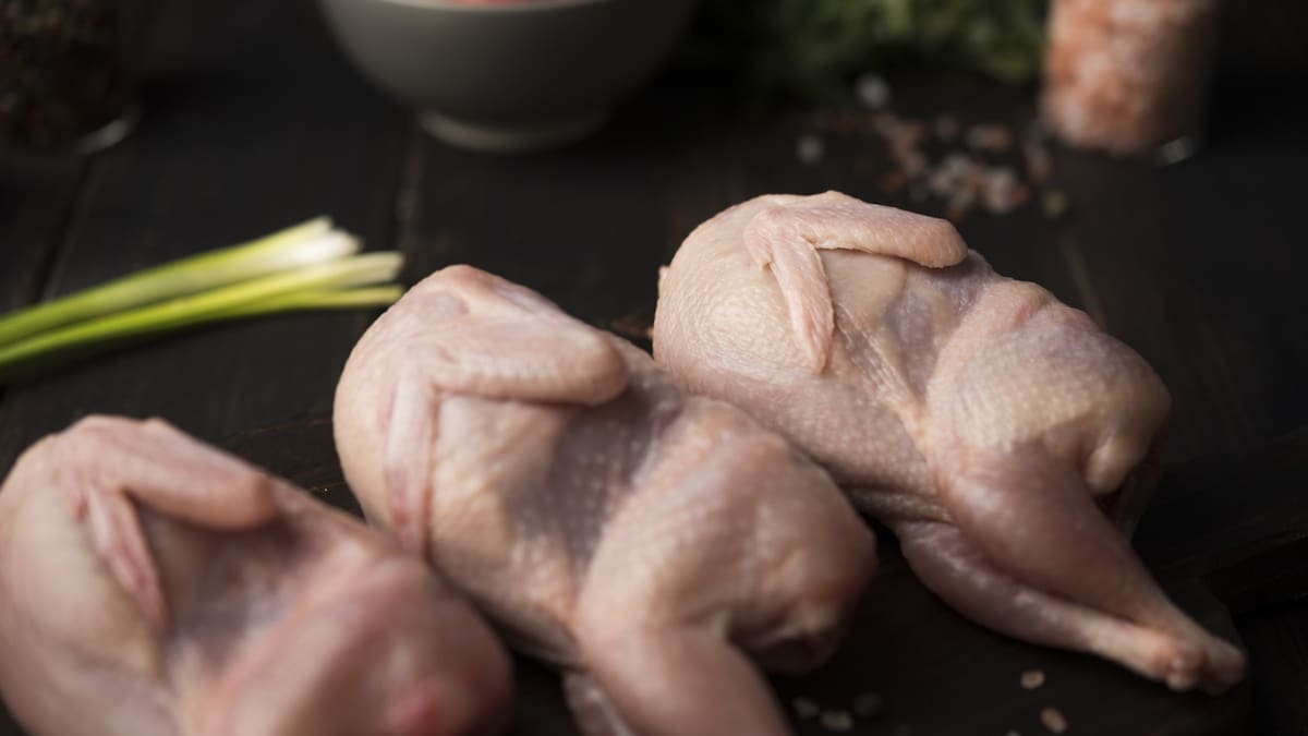 Qué significa la baba que se le forma al pollo. Foto Freepik.
