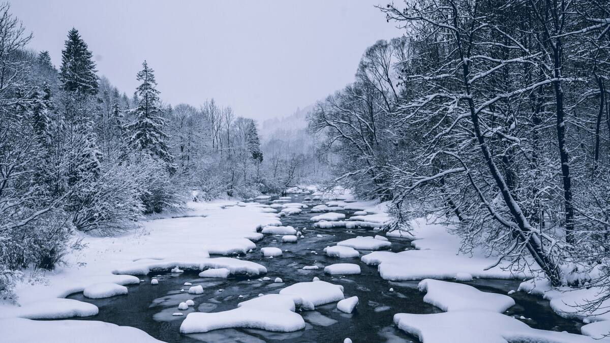 Polonia. Foto: Unsplash.