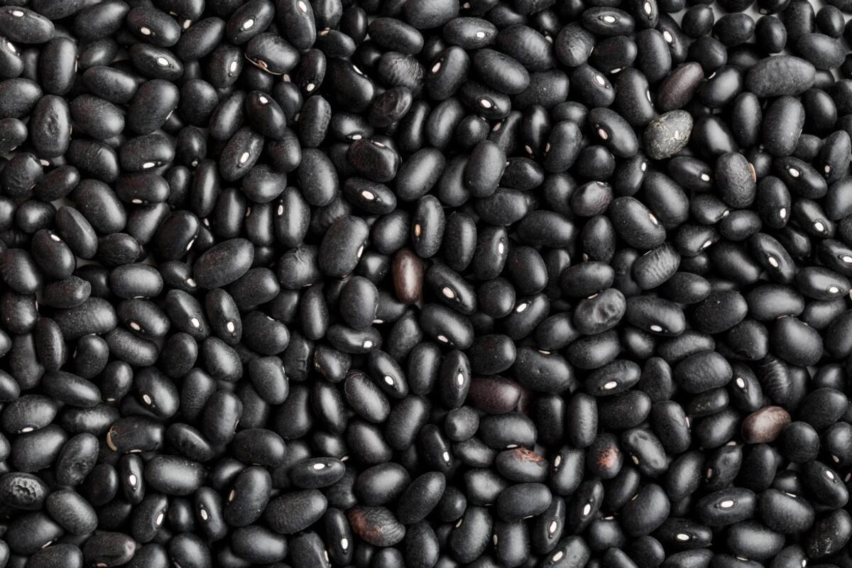 Porotos en negro: la Aduana denunció exportaciones subfacturadas en un 50% y podría aplicar multas de USD 28 millones. Foto: Aduana.