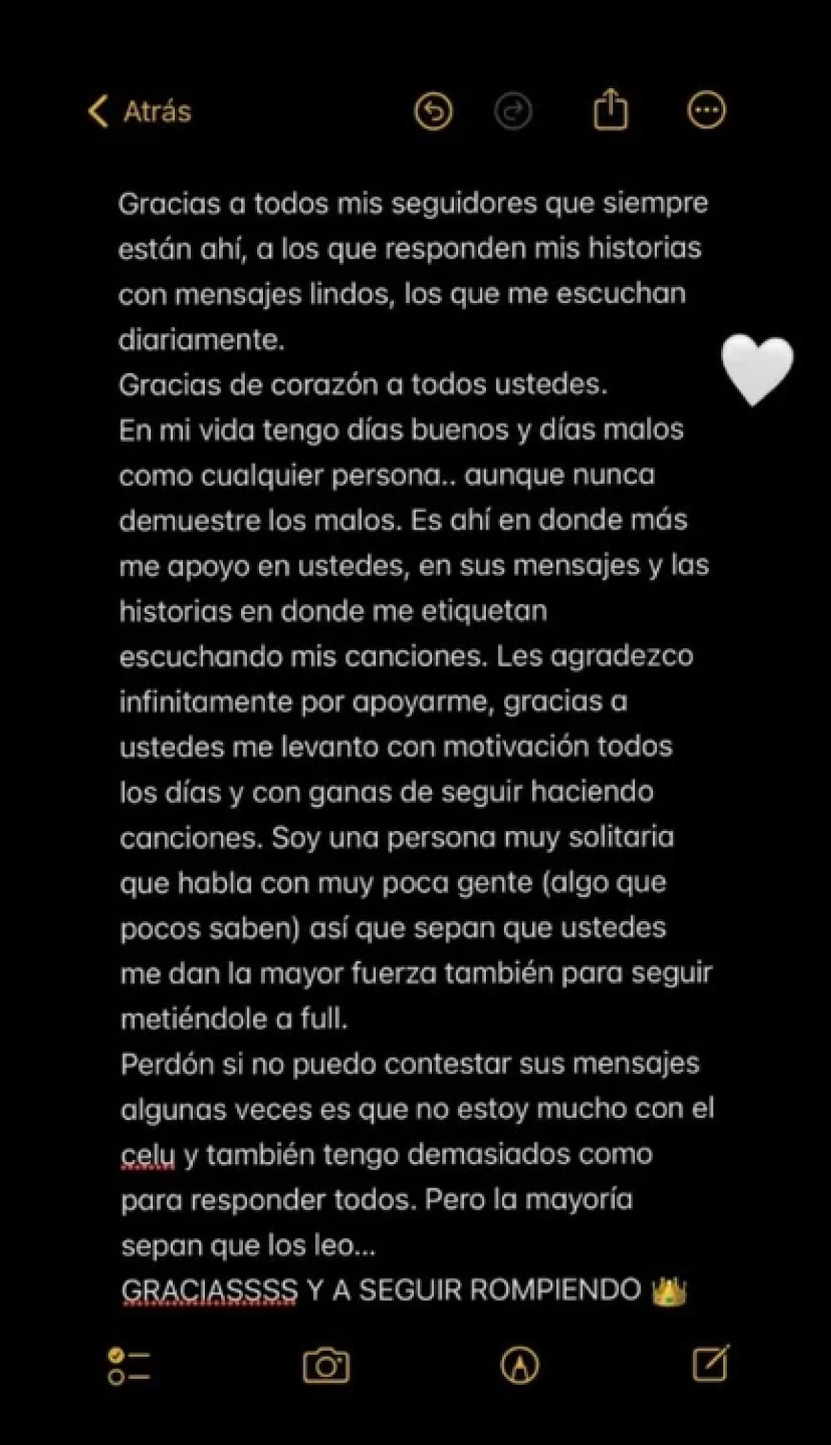 Posteo de Lauty Gram en Instagram