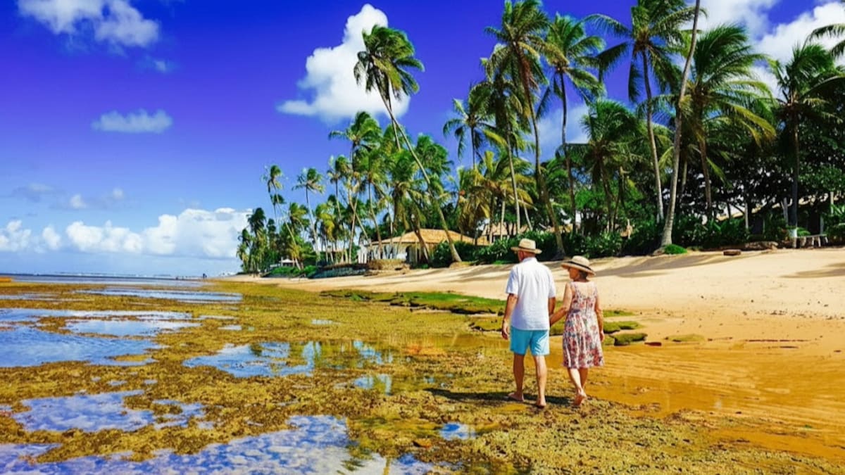 Praia do Forte, en Brasil.