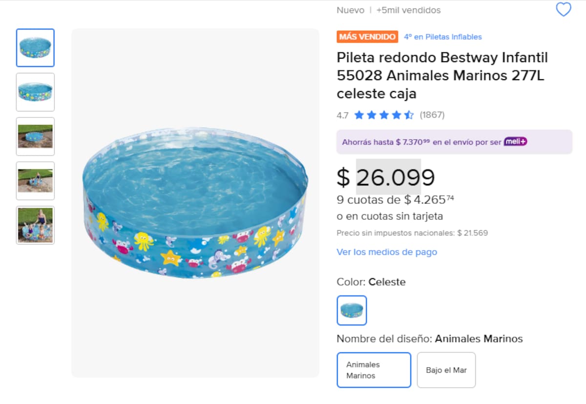 Precios de piletas para casas en Argentina.