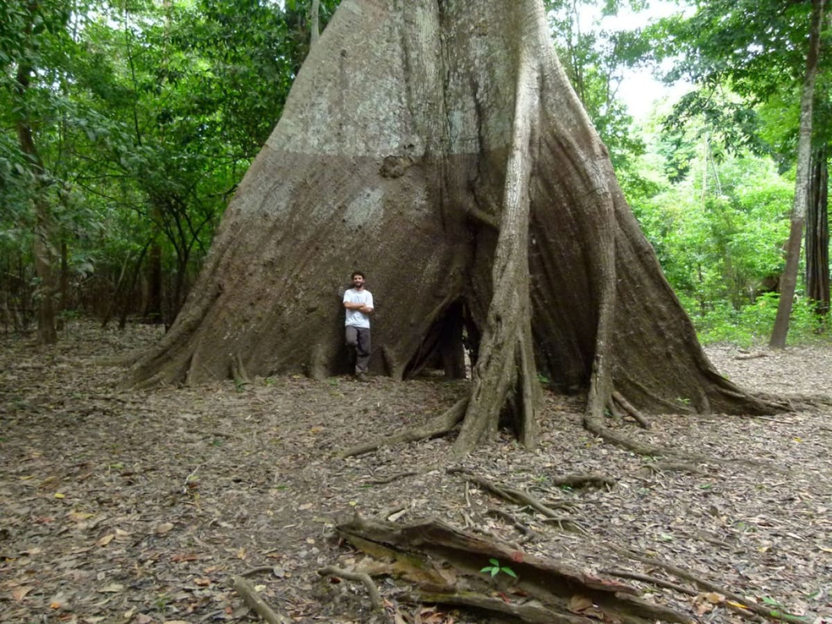 Preocupa el cambio climático en la Amazonia. Fuente: EFE