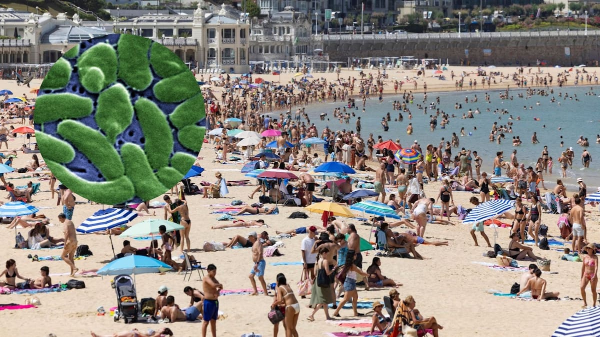 Preocupación por la presencia de “bacterias come carne” en las playas del mundo: qué puede pasar en Argentina