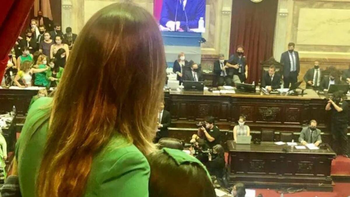 Presidenta de AySA, Malena Galmarini en sesión en Diputados sobre Aborto