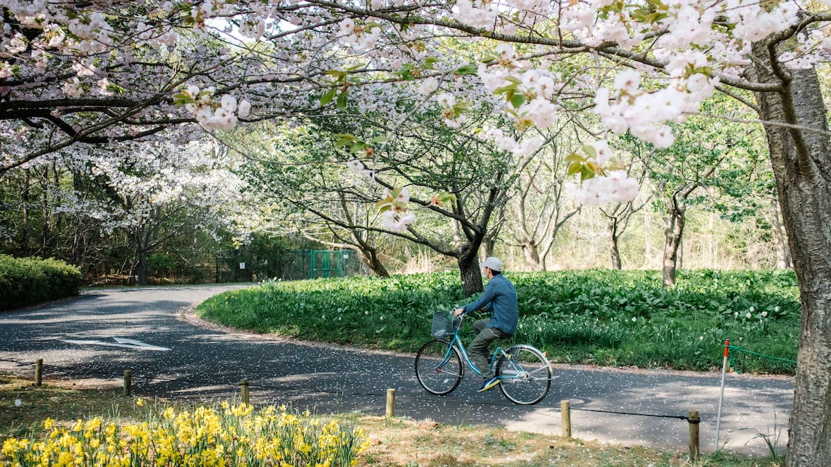 Se empieza a sentir la primavera en Buenos Aires: cómo estará el clima el fin de semana y cuál será el día más caluroso