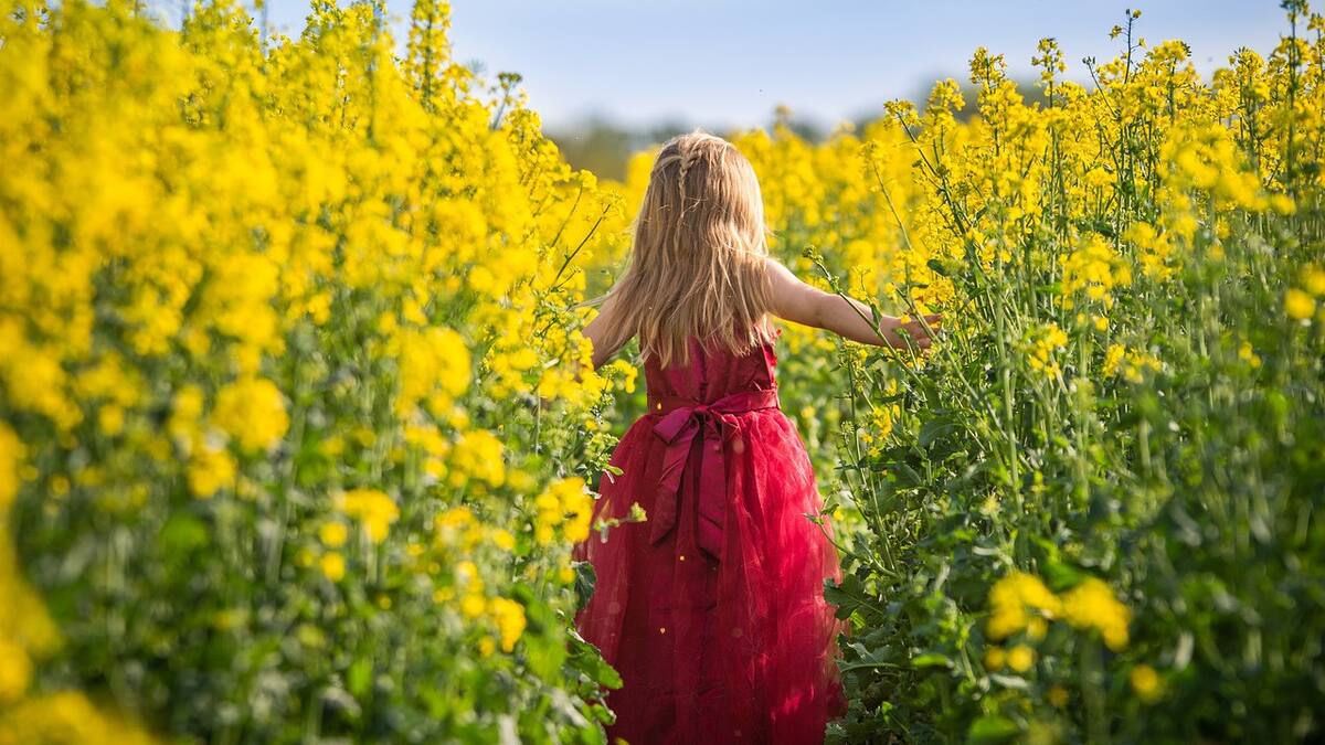 Cuándo termina el invierno y arranca la primavera este 2024. Foto: Pixabay.