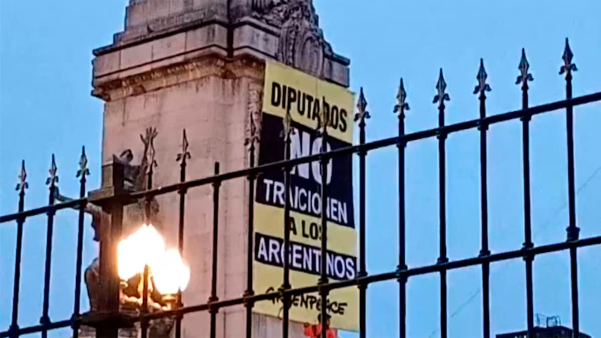 Ley de Glaciares: siete activistas de Greenpeace fueron detenidos después de colgar un cartel en el Congreso