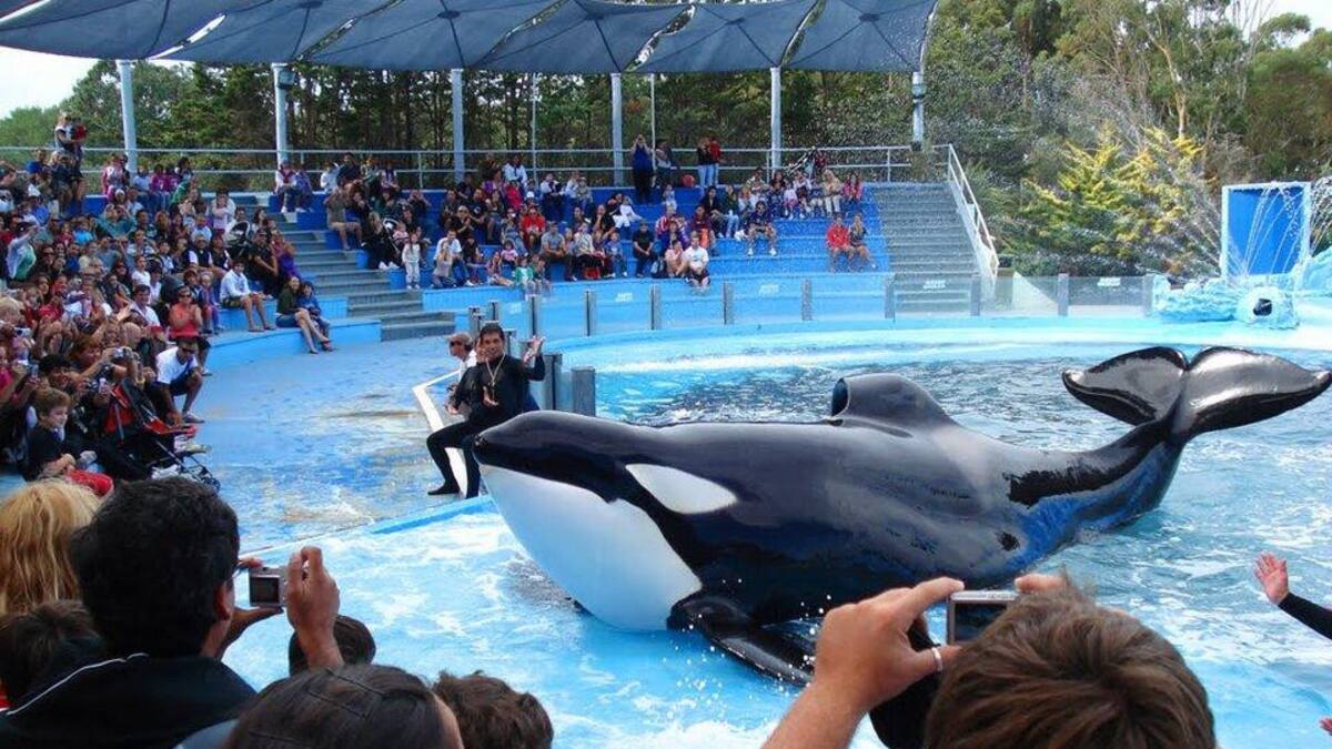 Proyecto de ley. Foto: Mundo Marino.