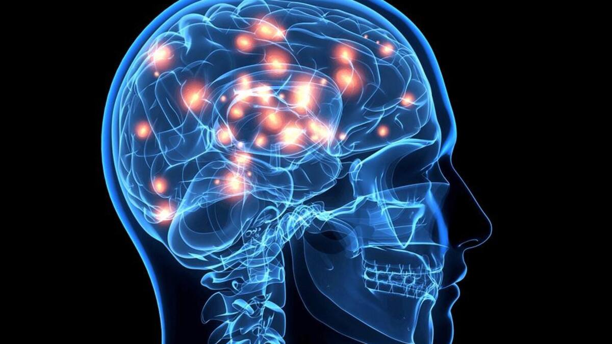 Psicopatología, foto policlinicacomarcaldelvendrell.es