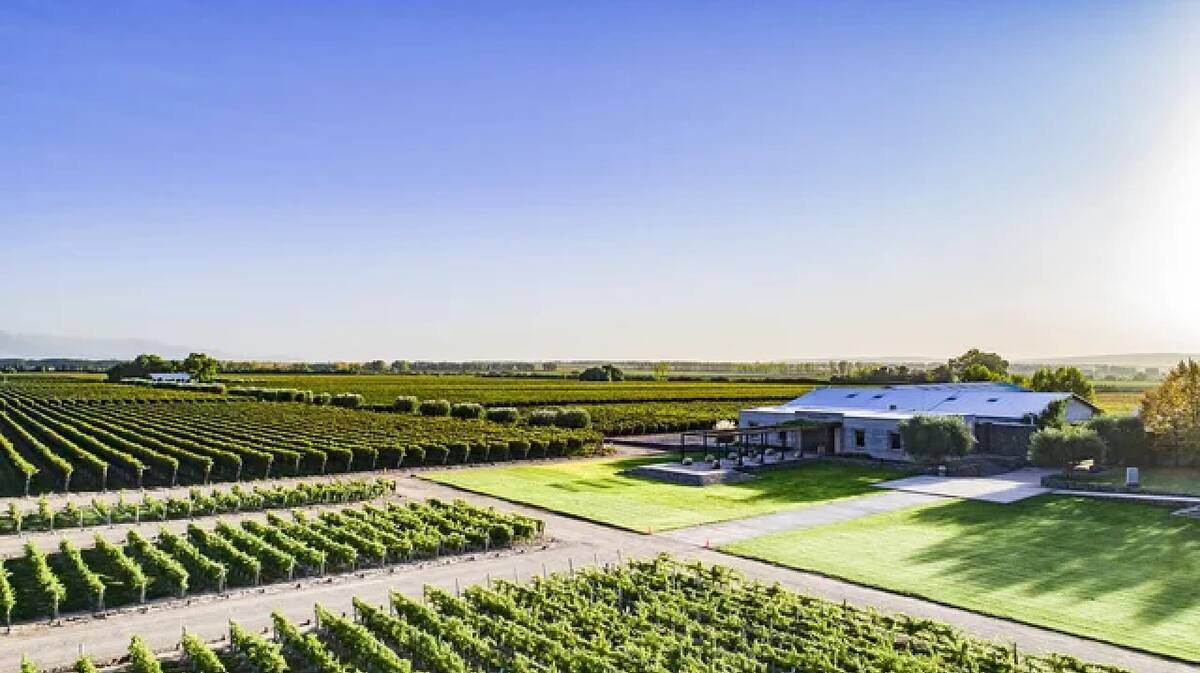 Pulenta Estate Winery. Foto NA.