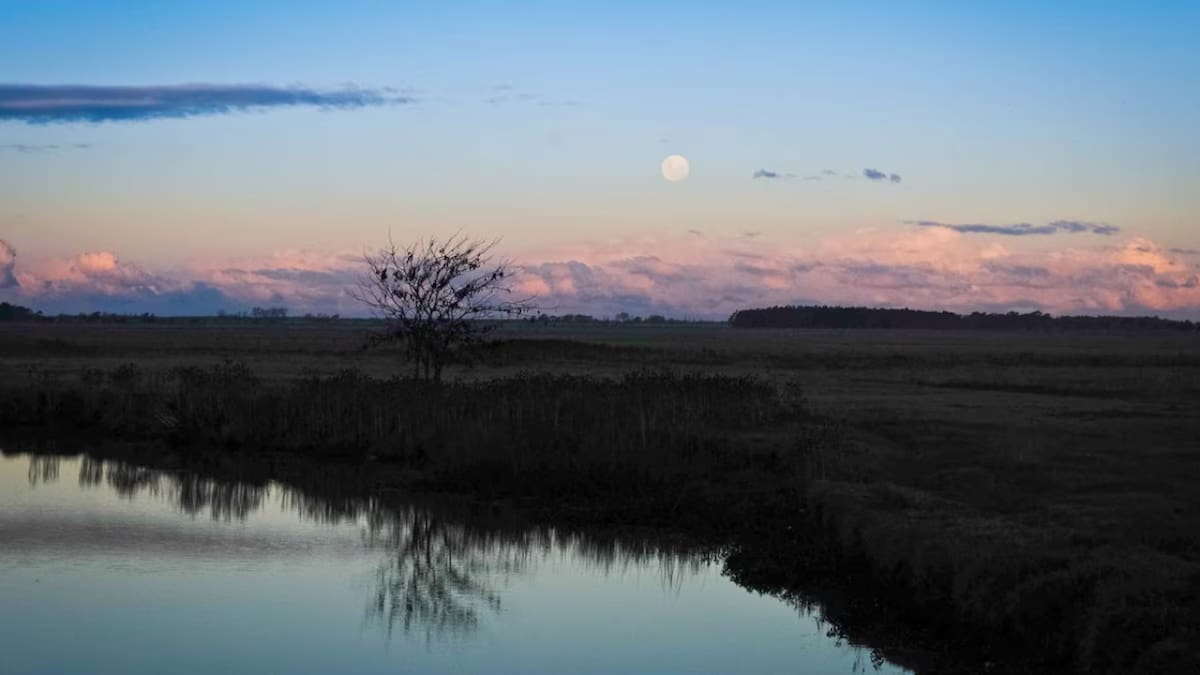 Punta Indio. Fuente: puntaindioweb.com