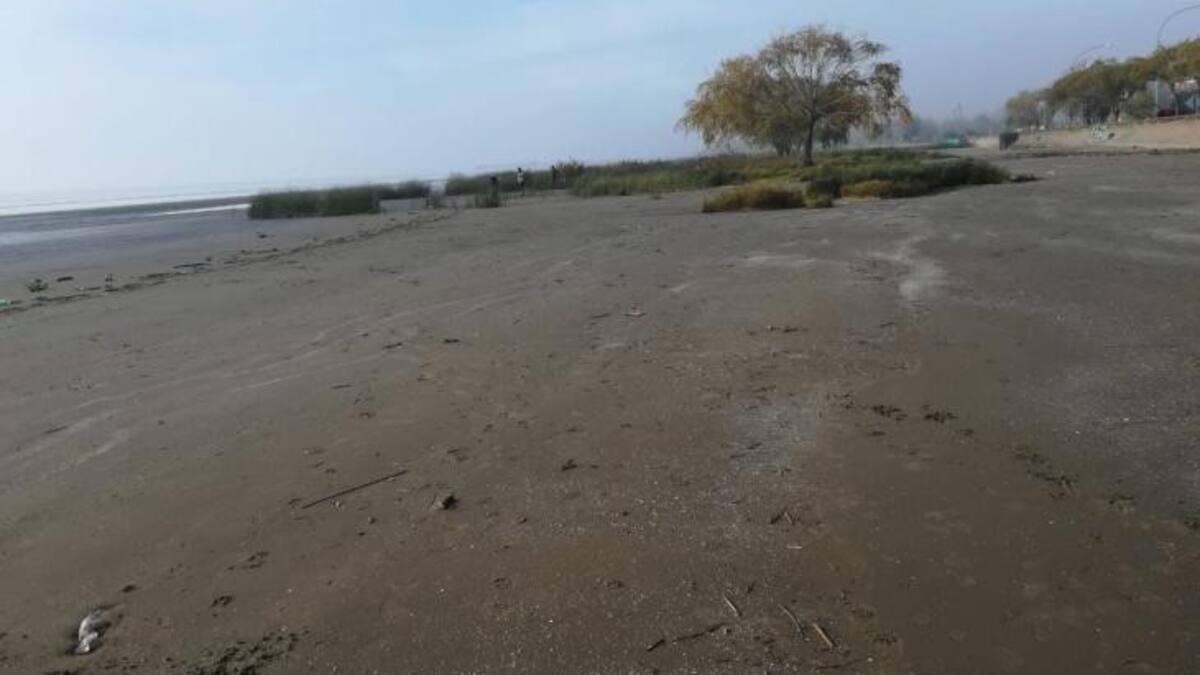 Punta Lara - restos humanos