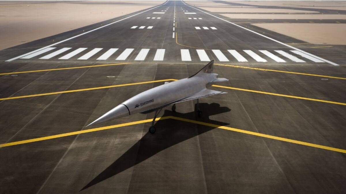 Quarterhorse. Foto: Hermeus.