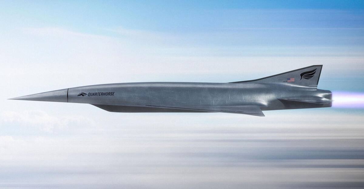 Quarterhorse. Foto: Hermeus.