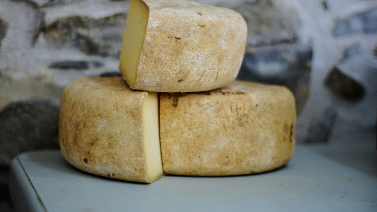La mejor forma de guardar el queso en la heladera. Foto Unsplash