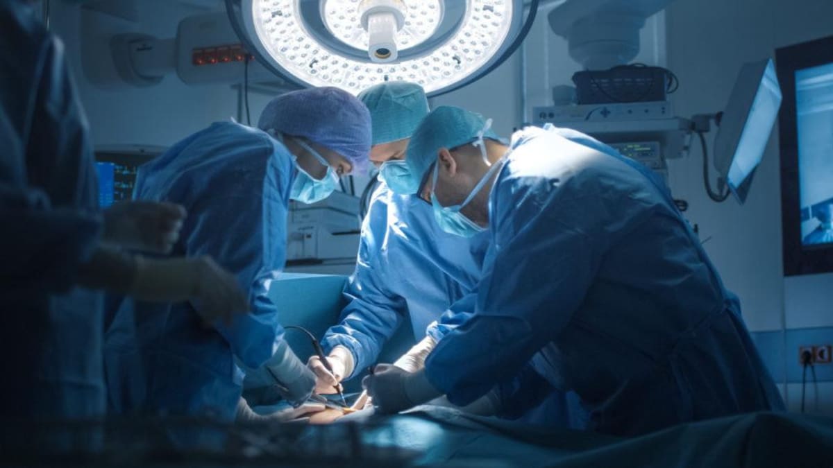 China hace historia tras realizar el primer trasplante de 3 órganos de cerdo a un humano: cómo lo logró