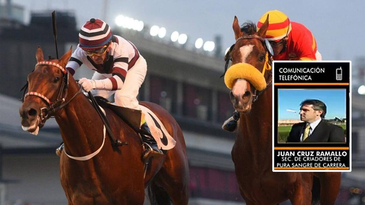 Quita de subsidios al turf