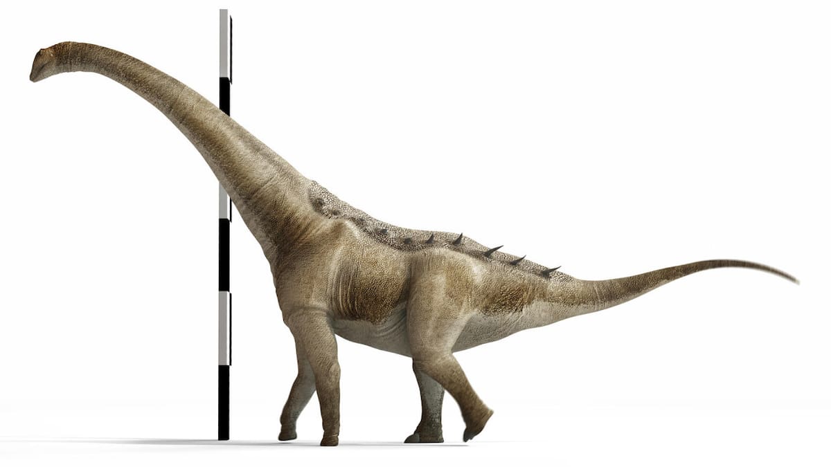 Qunkasaura pintiquiniestra, nueva especie de titanosaurio. Foto: EFE.