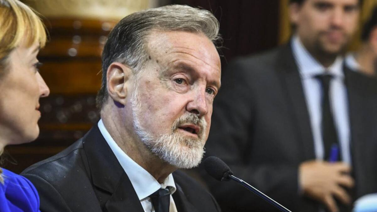 Rafael Bielsa, Gobierno, NA