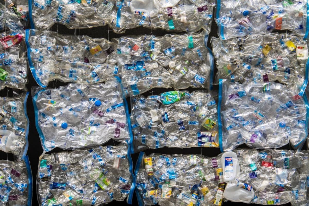 Reciclaje. Foto: Unsplash.