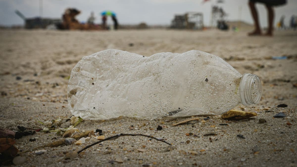 Reciclaje; plástico; botella. Foto: Unsplash.