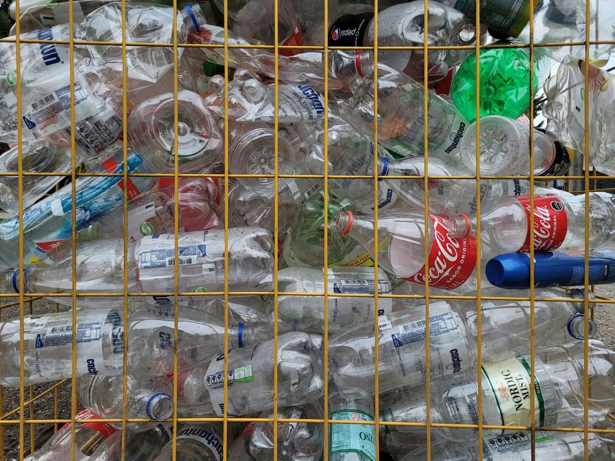 Reciclaje; plástico; botella. Foto: Unsplash.