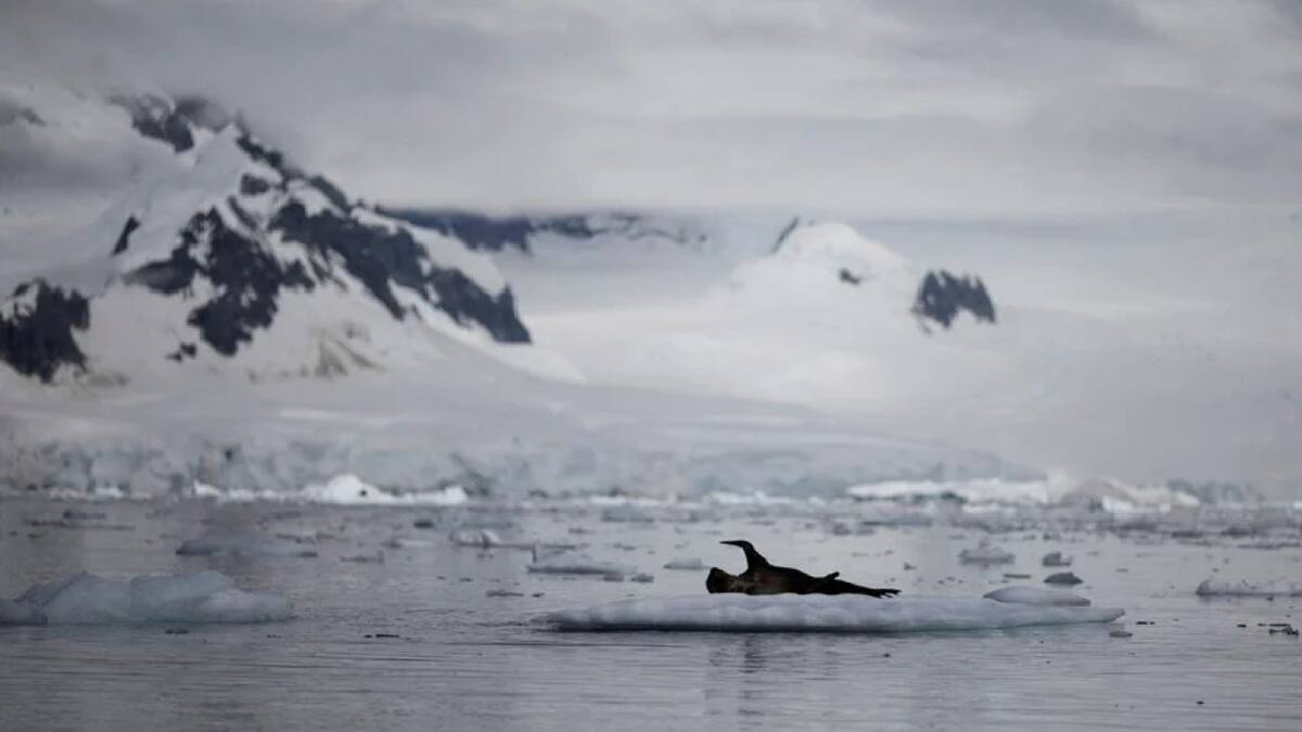 Reducción histórica del hielo marino de la Antártida