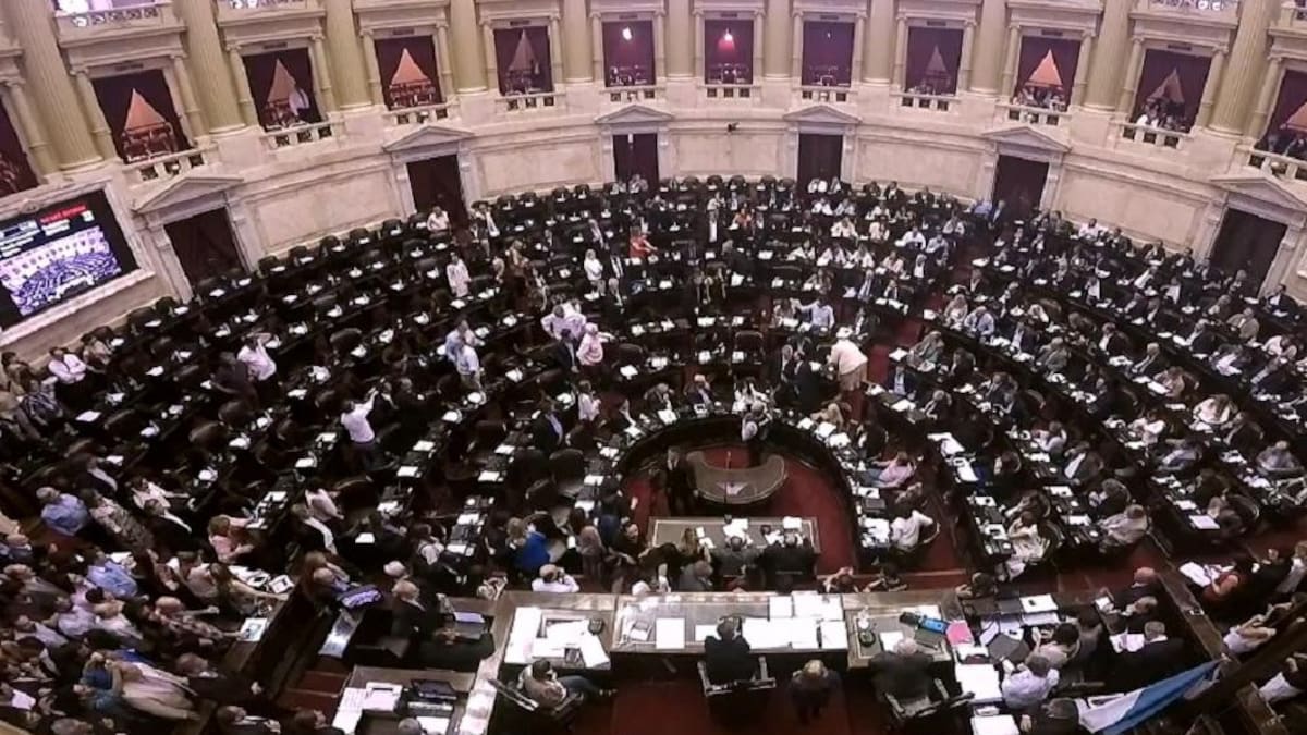 Reforma Previsional - Sesión en Diputados - Congreso