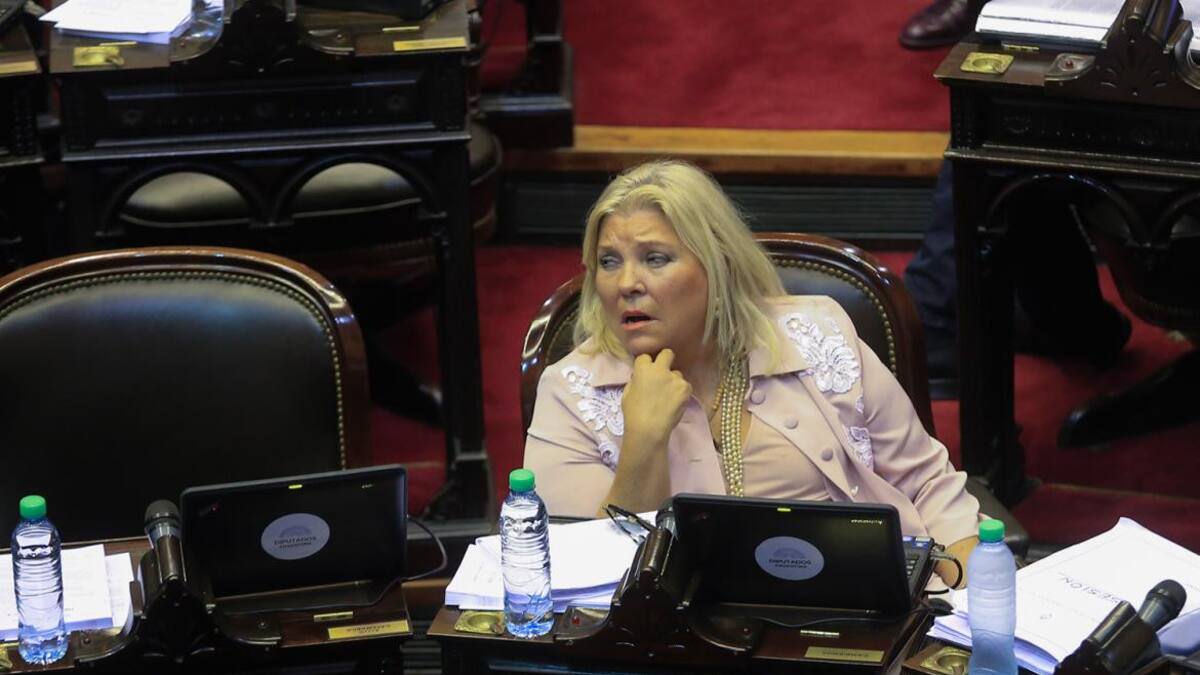 Reforma Previsional - sesión en Diputados - Elisa Carrió - NA