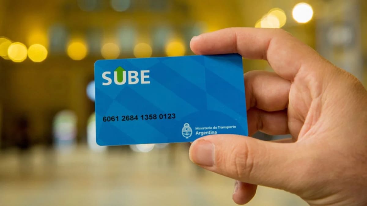 Carga de la tarjeta SUBE. Foto NA.