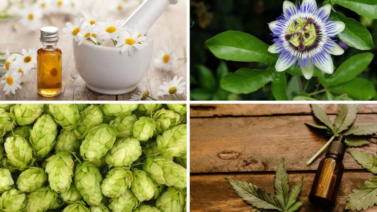 Remedios caseros para el sueño