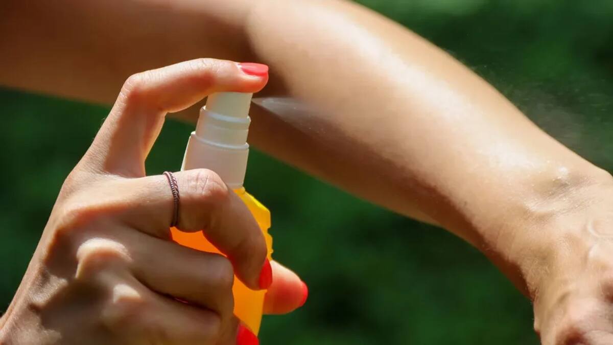 Repelente. Foto: NA.