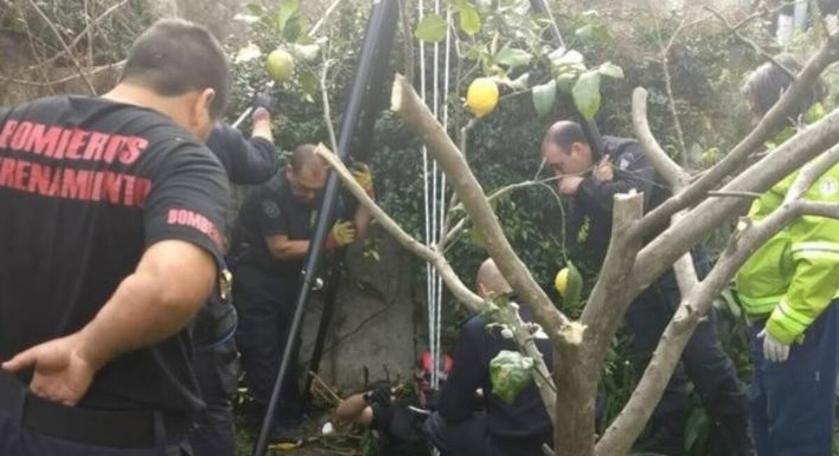 Rescate a anciana - La Plata