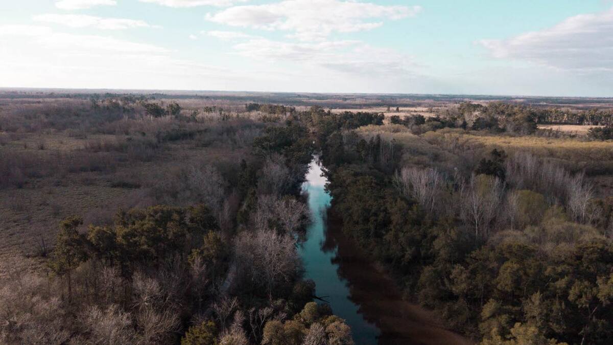 Escapada a 1 hora de Buenos Aires: la reserva con lagunas y carpinchos ideal para el próximo feriado
