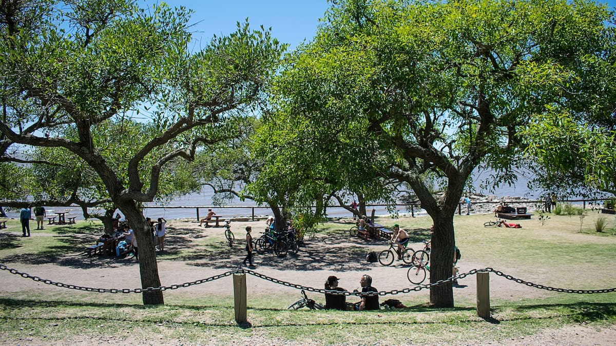 La Reserva Ecológica Costanera Sur celebra sus 40 años con actividades gratuitas: cuándo es y cómo llegar en auto o transporte público