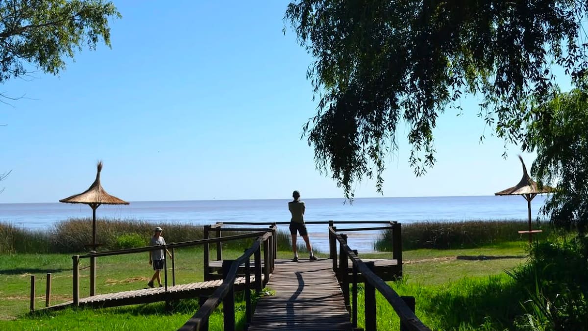 Vacaciones de invierno en Buenos Aires: la reserva natural que ofrece bosques nativos, camping y paseos a caballo