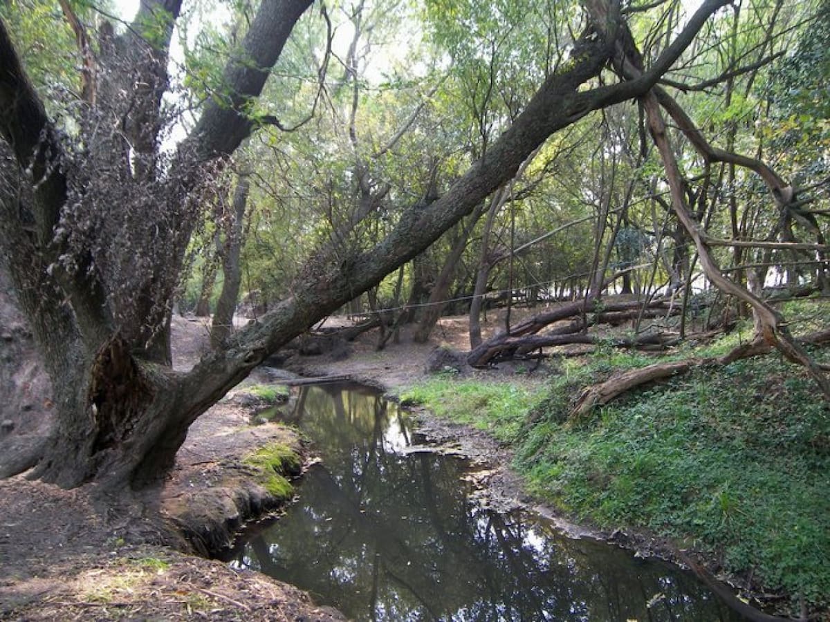Reserva Natural Boca de las Sierras, en Azul, provincia de Buenos Aires. Foto: Facebook / Azul.