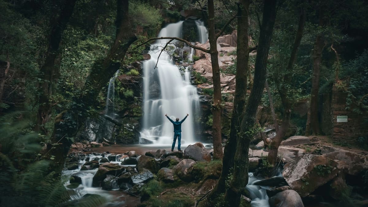 Reserva natural. Foto: Unsplash.