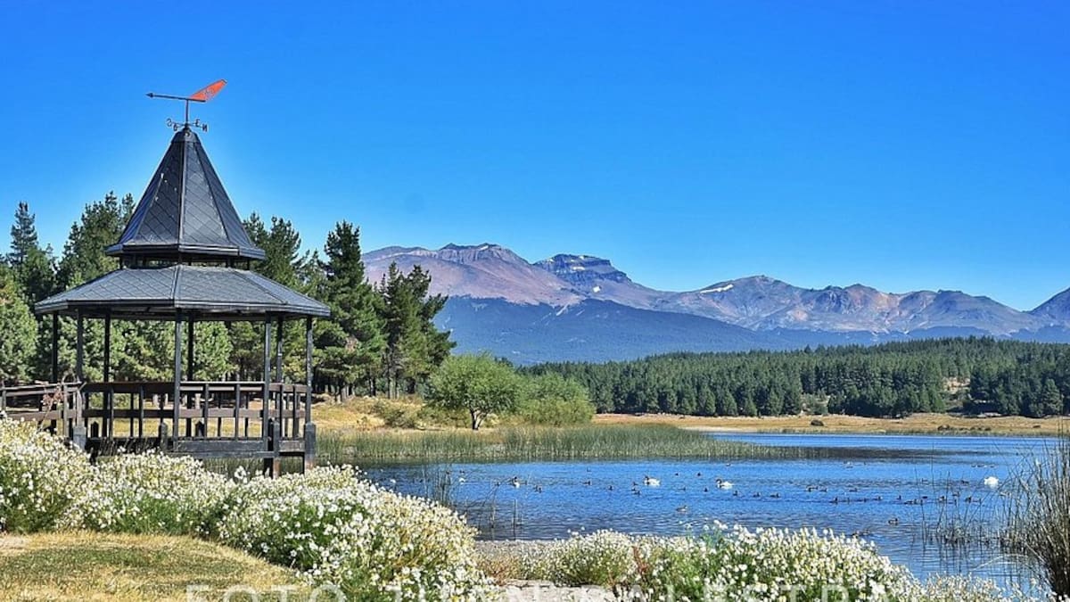 Un oasis de silencio y relajación: la laguna poco conocida perfecta para pescar pejerrey en los meses más fríos del año