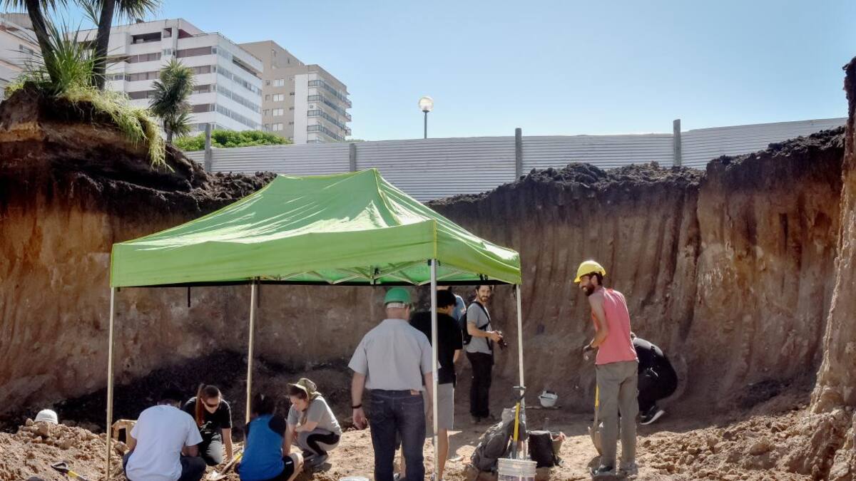 Restos de un gliptodonte en medio de una obra de estacionamiento subterráneo, Mar del Plata. Foto: La Capital