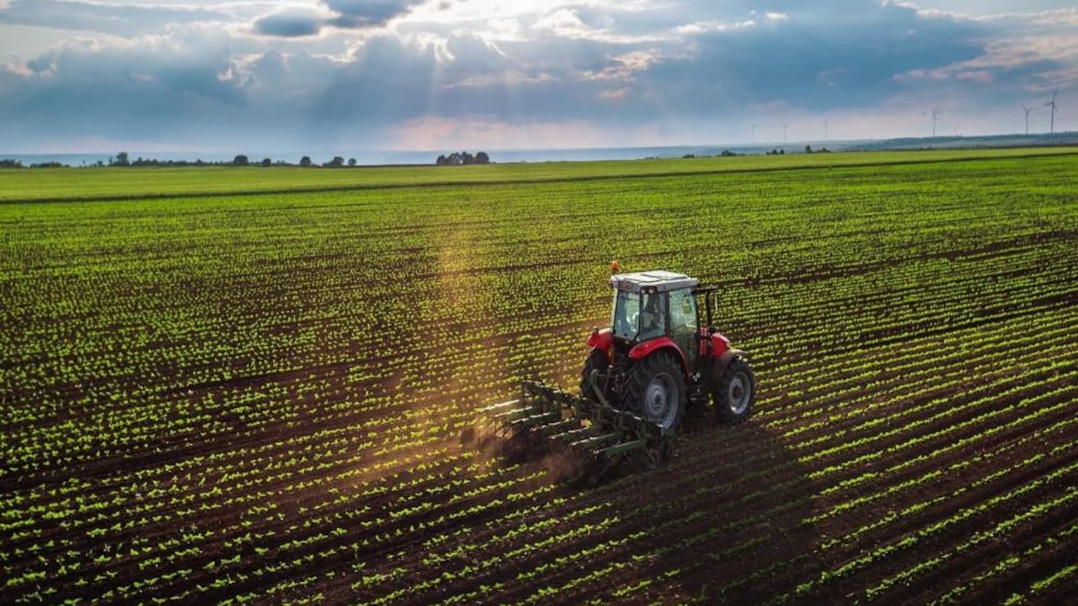 Retenciones al campo, foto NA