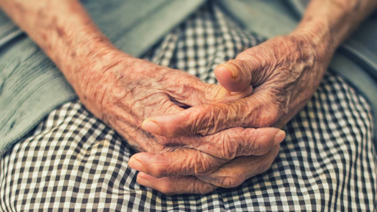 Retrasar el envejecimiento con una nueva proteina. Foto: Unsplash