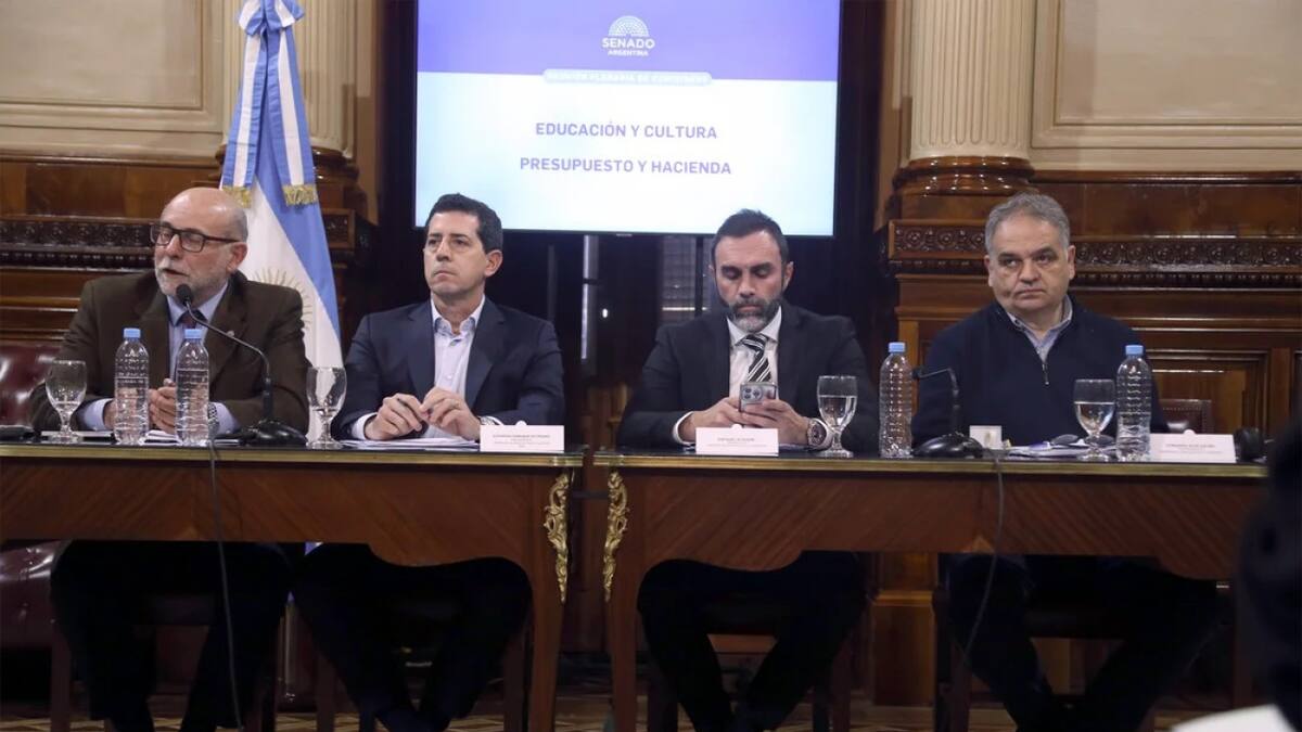 Reunión de comisión en el Senado por el presupuesto universitario. Foto: NA.