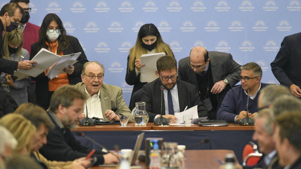 Reunión de comisiones de Diputados por la boleta única. Foto NA